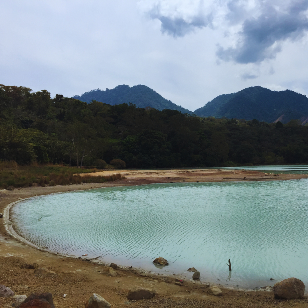 612.24 弩雲咖啡 Las Nubes coffee・卡杜拉、卡杜艾、鐵皮卡・水洗處理法・法漢尼斯 (瓜地馬拉商業豆)