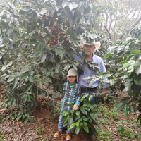 152 小王子莊園 Finca El Principito・黃卡杜艾・日曬處理法・法漢尼斯