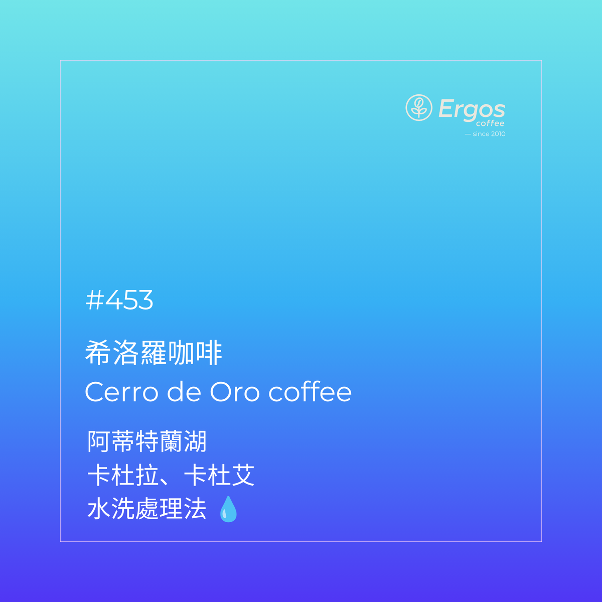 453 希洛羅咖啡 Cerro de Oro coffee - 阿蒂特蘭湖・卡杜拉、卡杜艾・水洗處理法
