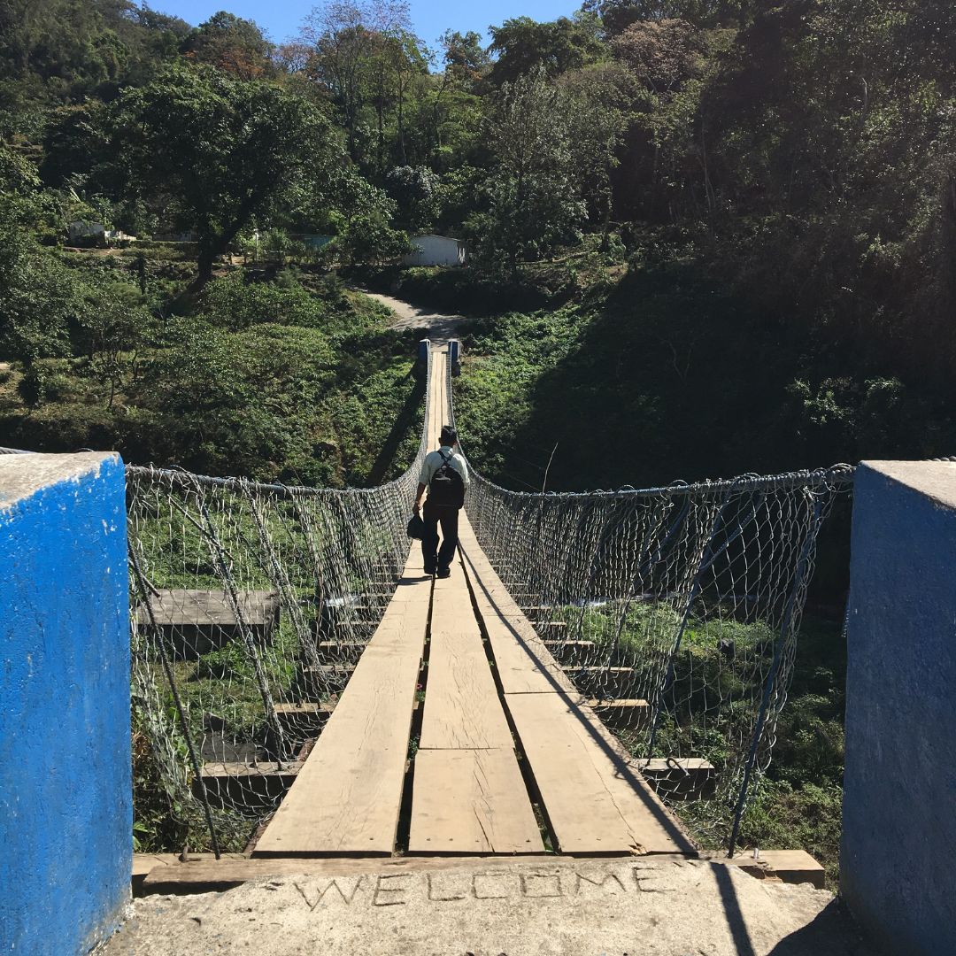 453 希洛羅咖啡 Cerro de Oro coffee - 阿蒂特蘭湖・卡杜拉、卡杜艾・水洗處理法