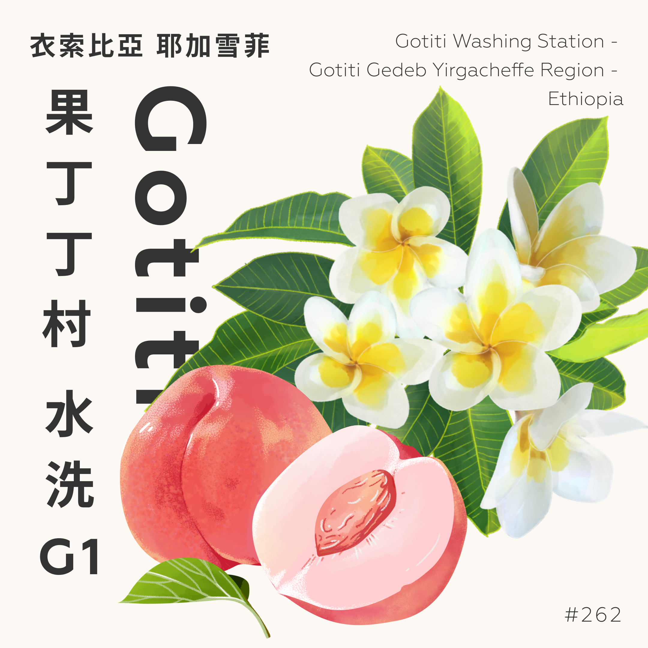 262.24 衣索比亞耶加雪菲果丁丁村水洗G1 – ErgosCoffee.com