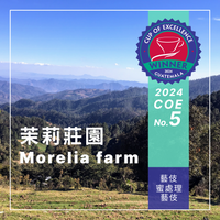 308 茉莉莊園．藝伎．蜜處理法．法漢尼斯  Morelia farm - 2024 COE, Honey process, Mataquescuintla, Fraijanes