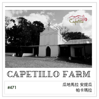 471.24卡佩提洛莊園 Capetillo Farm．帕卡瑪拉．日曬處理法．安提瓜(APCA)