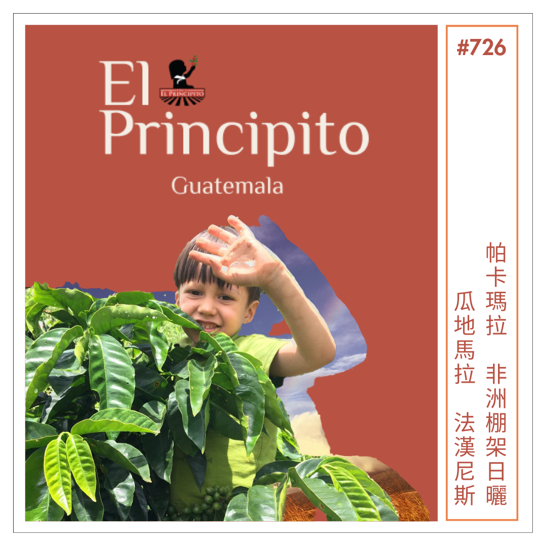 726 小王子莊園 Finca El Principito・帕卡瑪拉・非洲棚架日曬處理・瓜地馬拉法漢尼斯