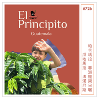 726 小王子莊園 Finca El Principito・帕卡瑪拉・非洲棚架日曬處理・瓜地馬拉法漢尼斯