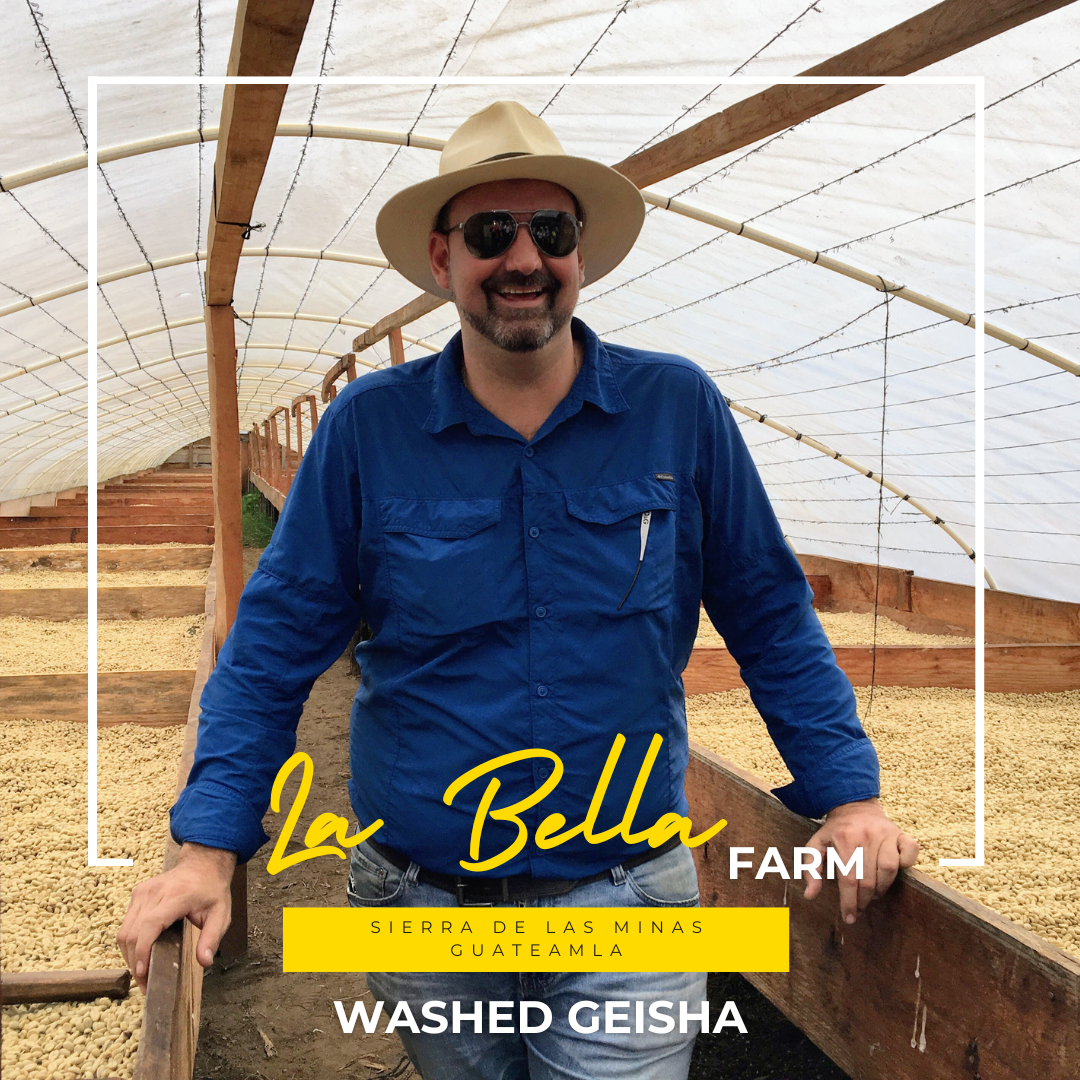 175.25 碧雅莊園 Finca La Bella．藝伎．水洗處理法．拉斯米納斯寶礦山脈
