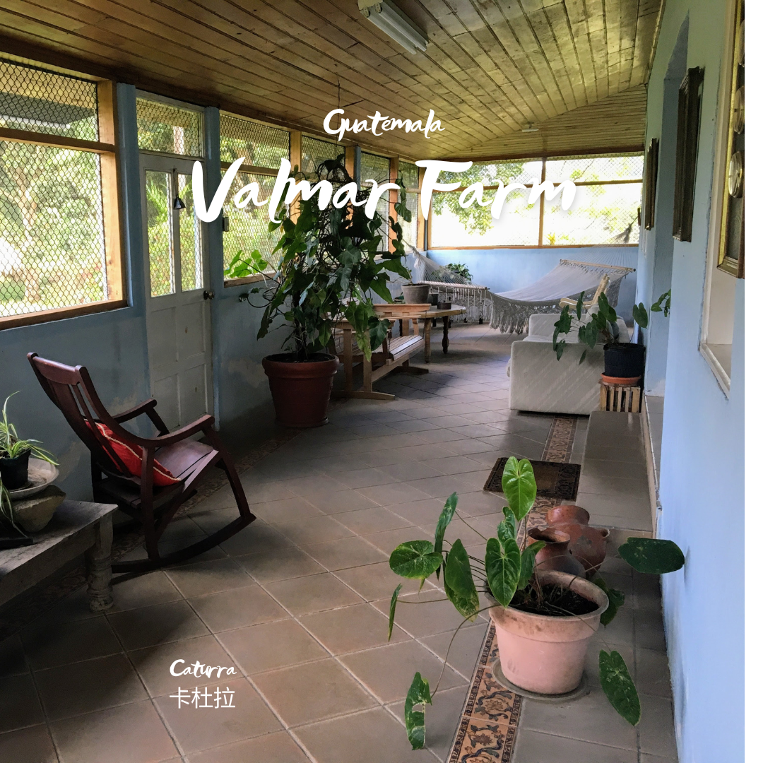329.25 瓦爾瑪莊園 Finca Valmar．聖伊西卓．水洗處理法．科班雨林
